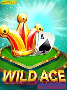 Explorando o Universo de WildAce: Um Guia Completo para Jogadores
